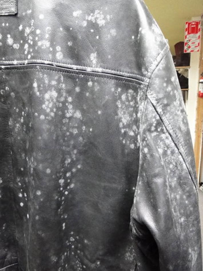 วิธีกำจัดเชื้อรา