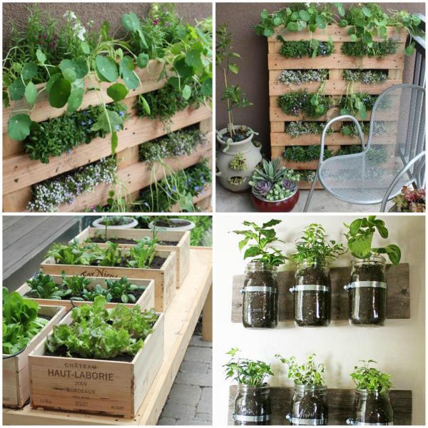 เคล็ดลับแต่งคอนโดให้ร่มรื่น จัดสวนไซต์มินิริมระเบียง การเลือกต้นไม้และวัสดุในการใส่ต้นไม้เพิ่มความโดดเด่นให้กับการจัดสวนได้อย่างมีไอเดีย