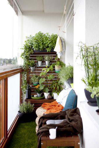 ไอเดียตกแต่งคอนโด ด้วยสวนเล็กๆที่ระเบียงห้อง ทำง่ายๆ ได้บรรยากาศสดชื่น