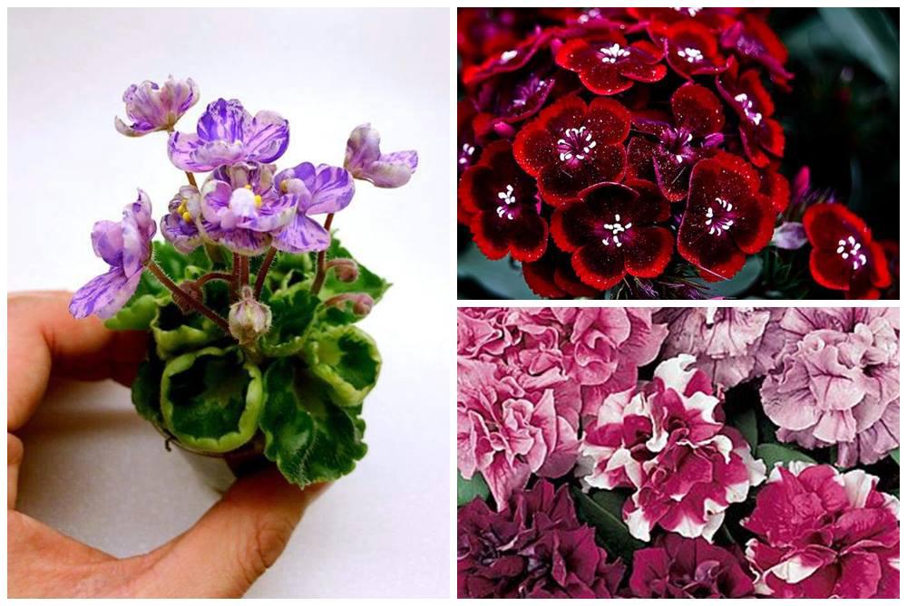 แต่งคอนโด อิงธรรมชาติด้วย magic gardens เพิ่มออกซิเจนให้ชีวิต