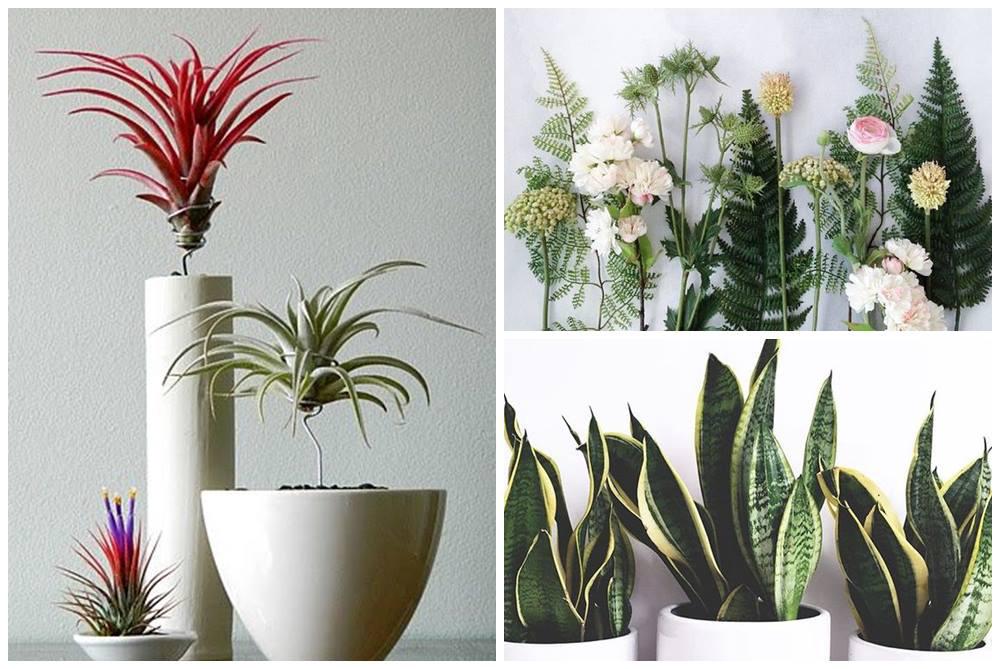 แต่งคอนโด อิงธรรมชาติด้วย magic gardens เพิ่มออกซิเจนให้ชีวิต