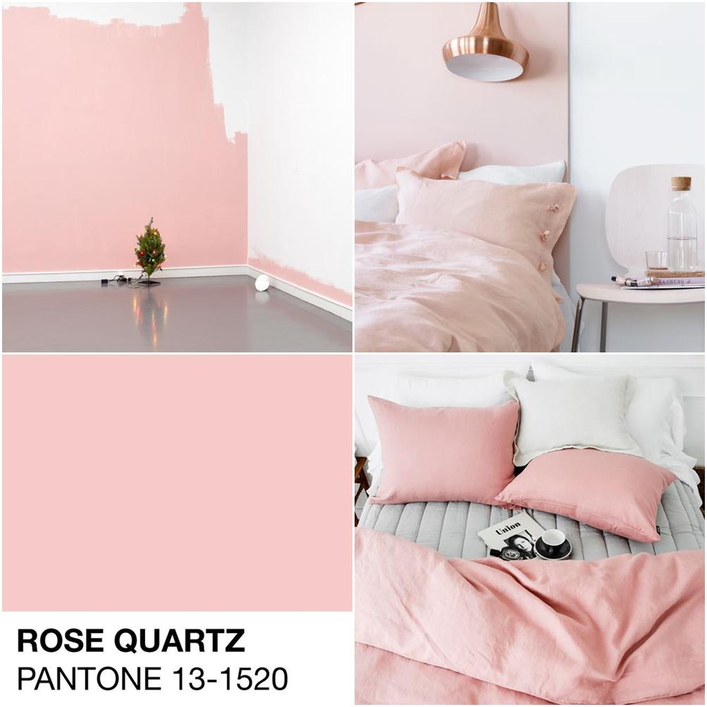 สีห้องนอนสวยๆ Rose quartz 2016