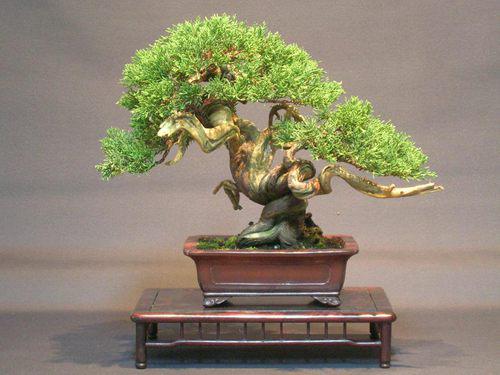 สร้างบรรยากาศสบายๆ บนโต๊ะอาหารด้วยพื้นที่สีเขียว