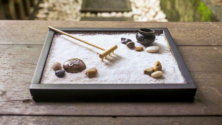 3 ไอเดียสวนสวยบนโต๊ะทำงานและ 7 พรรณไม้ดูแลง่าย