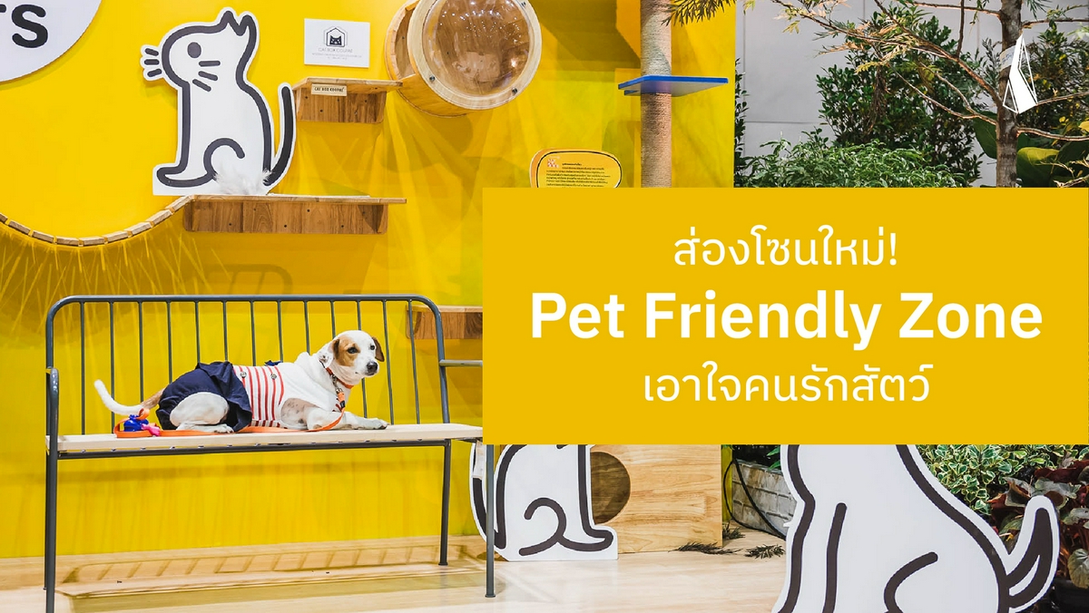 รูปบทความ ส่องโซนใหม่ Pet friendly zone ในงาน บ้านและสวนแฟร์ 2019