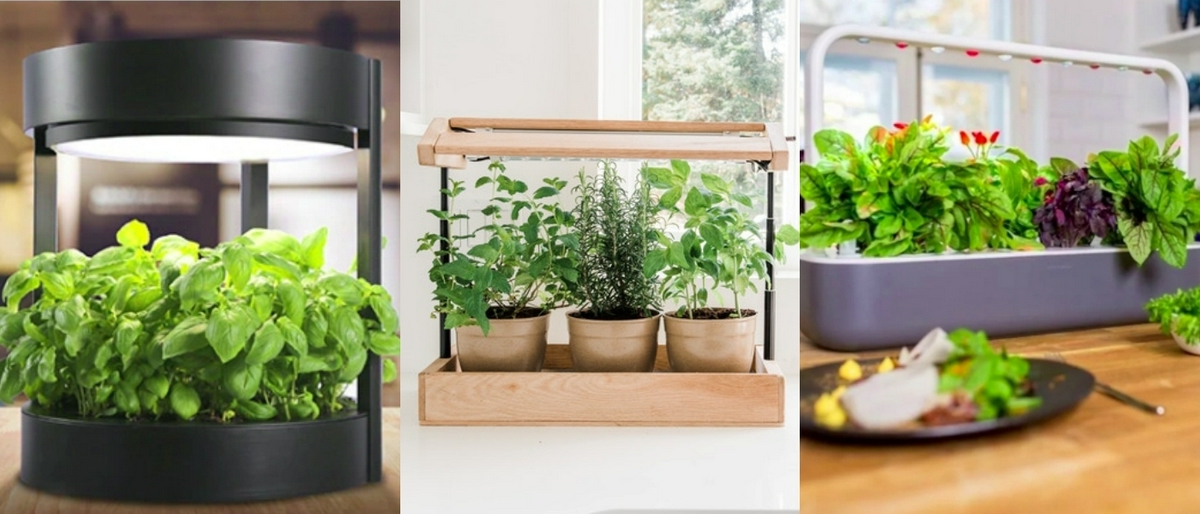 รูปบทความ Smart Life : Smart Gardening นวัตกรรมแสนฉลาดที่ให้ได้มีสวนได้ดั่งใจ