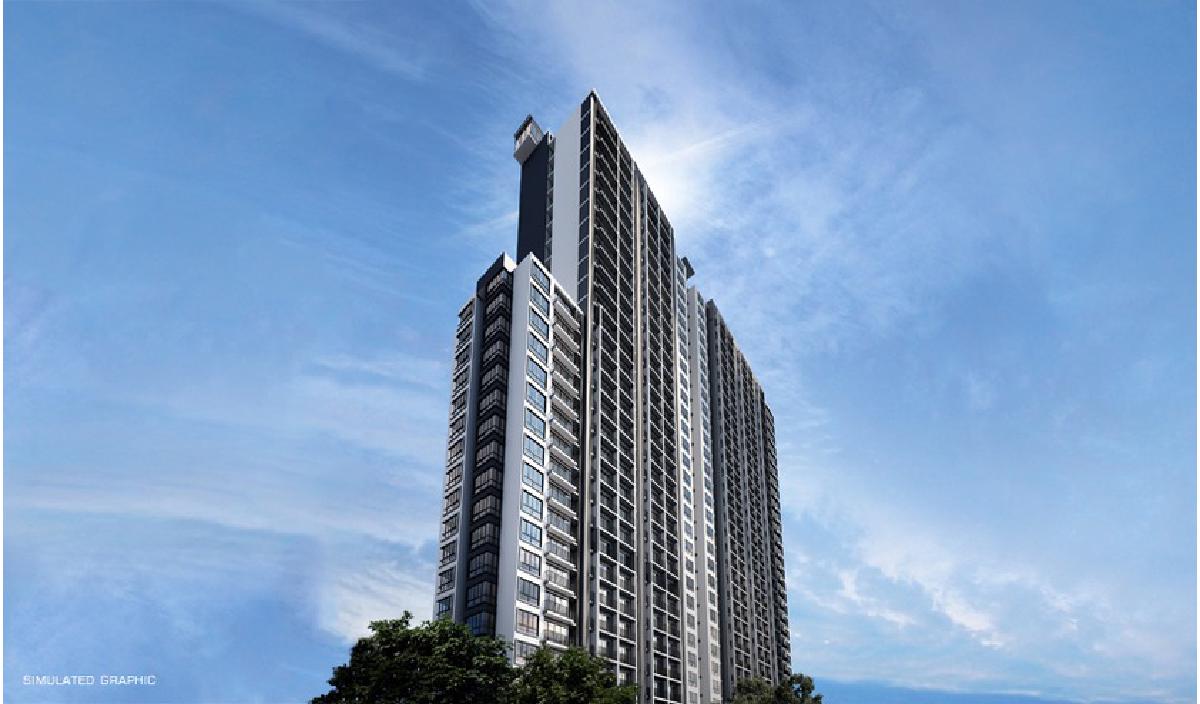 เดอะ ทรี อินเตอร์เชนจ์ (The tree Interchange)