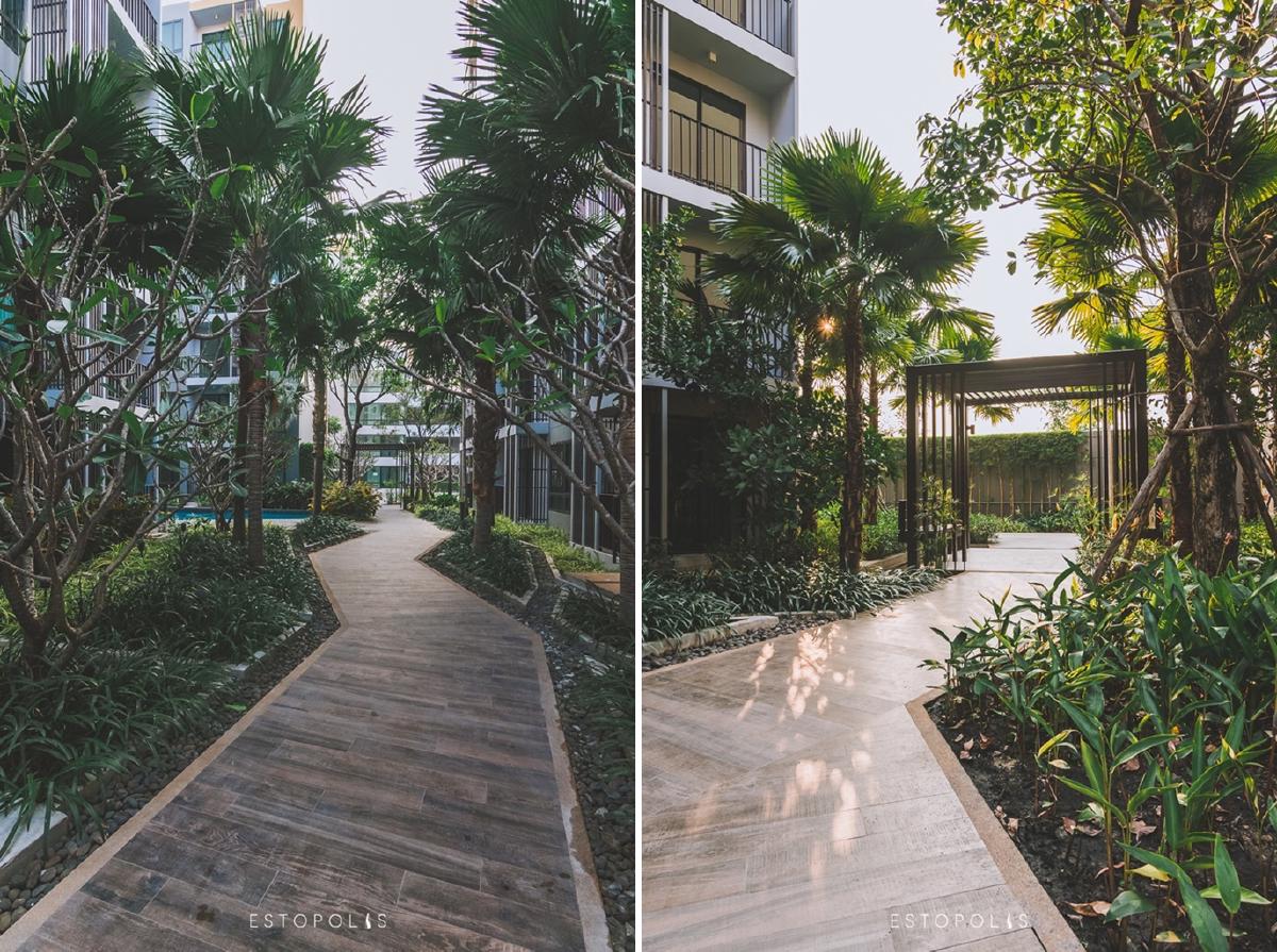 ทางเดินของ Metro Luxe Riverfront รัตนาธิเบศร์