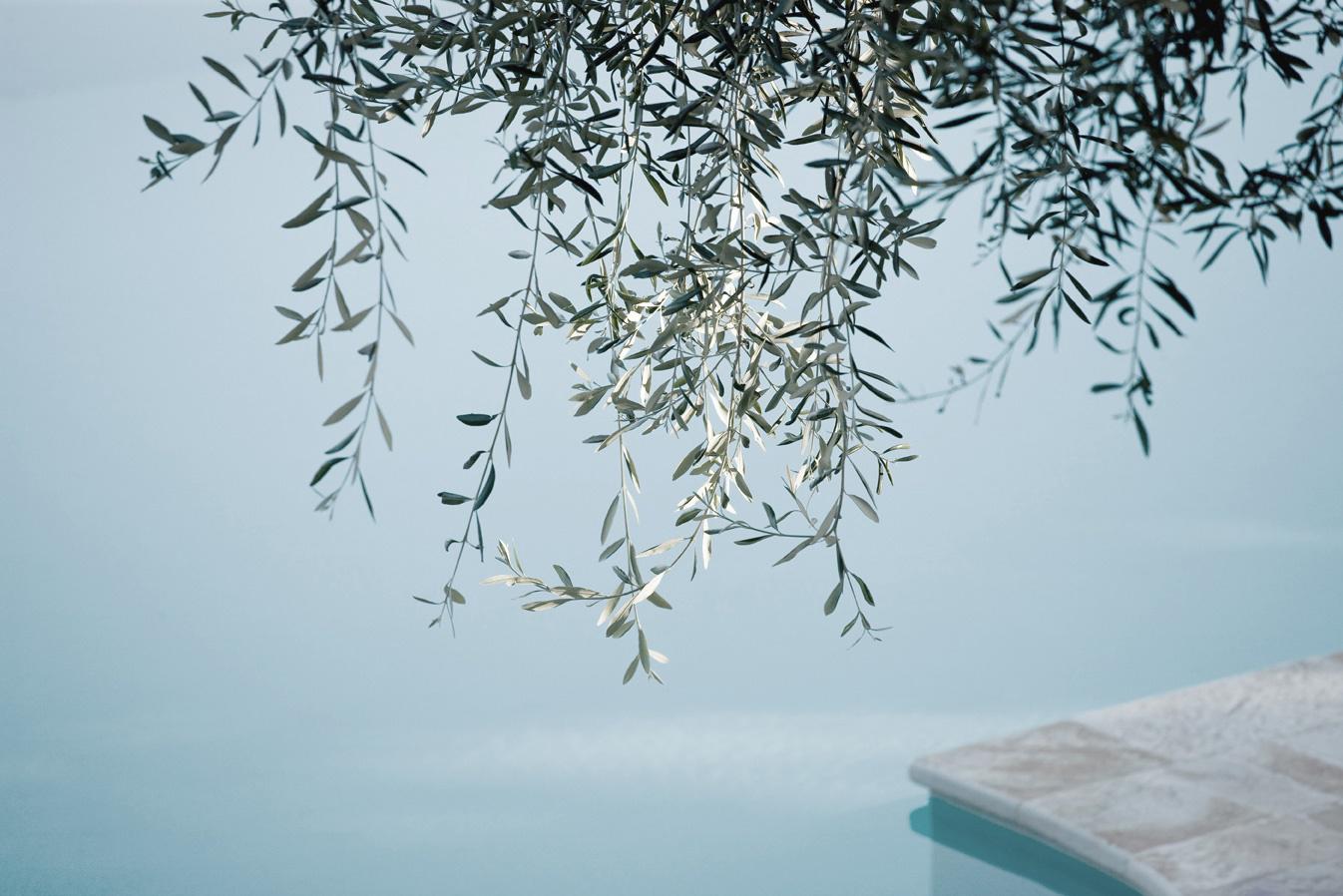 สระว่ายน้ำของ เอ สเปซ ไอดี อโศก-รัชดา (a space id asoke-ratchada)