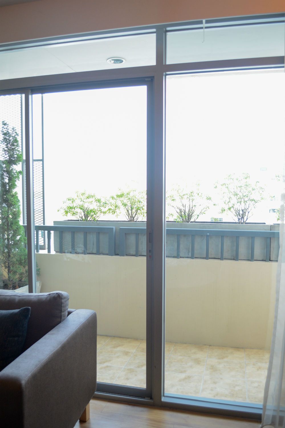 Estopolis-review-condo-siamese-นางลิ้นจี่