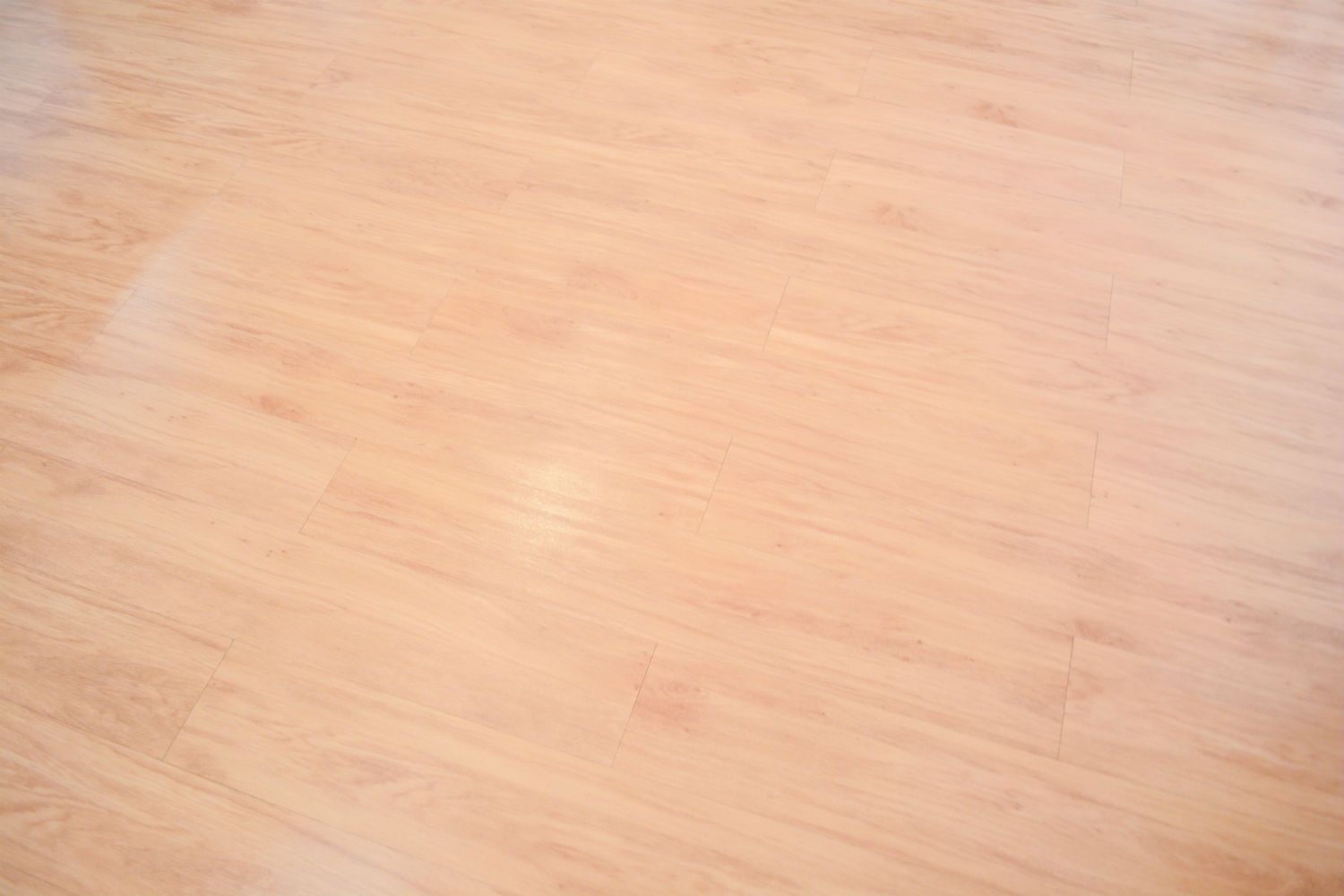 Estopolis-review-condo-siamese-นางลิ้นจี่