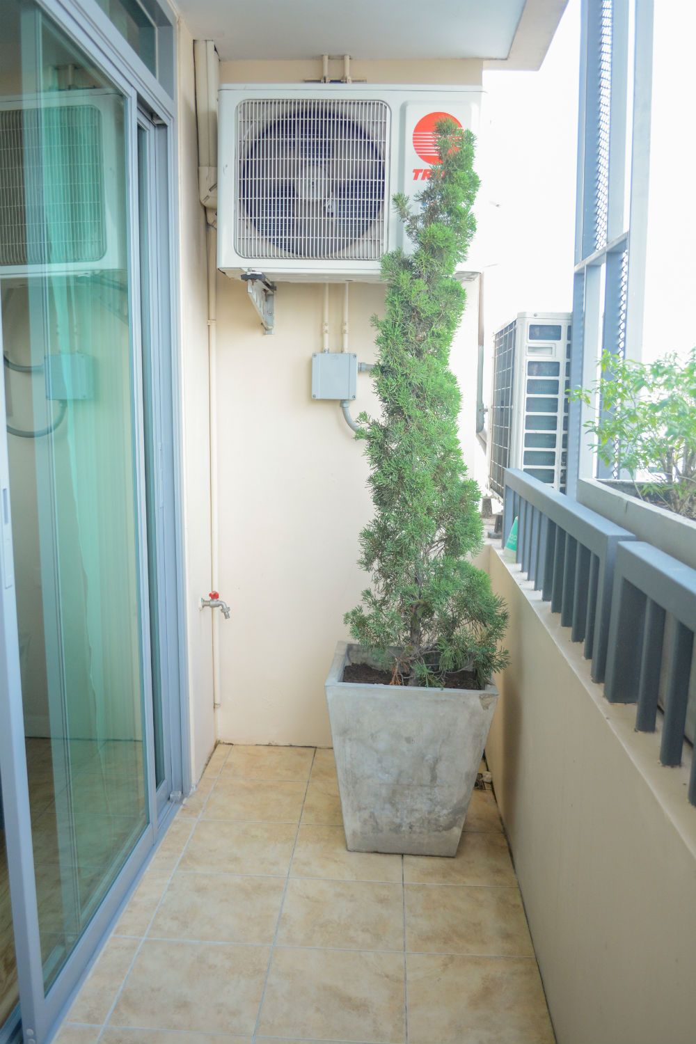 Estopolis-review-condo-siamese-นางลิ้นจี่